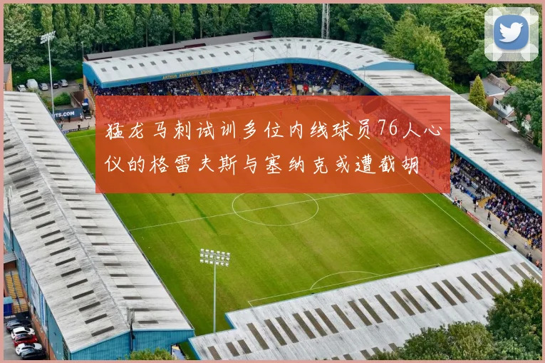 猛龙马刺试训多位内线球员76人心仪的格雷夫斯与塞纳克或遭截胡