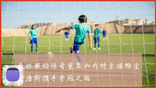 森林狼的传奇重聚加内特乐福维金斯唐斯携手夺冠之路